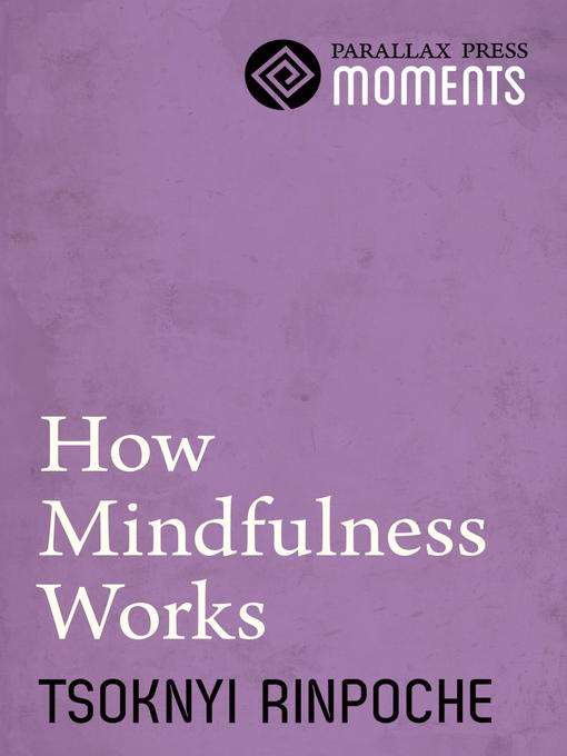 Title details for How Mindfulness Works by Tsoknyi Rinpoche - Available